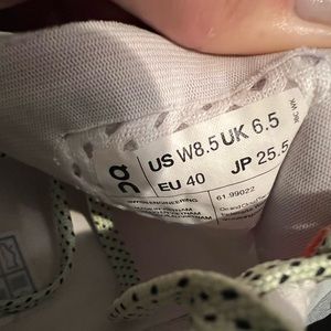 On Cloud Cloudmonster shoes in glacier/meadow